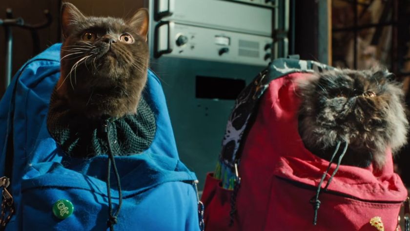 Dio and GG, voiced by Seth Rogen and Kumail Nanjiani in 'The Wrong Girls'
