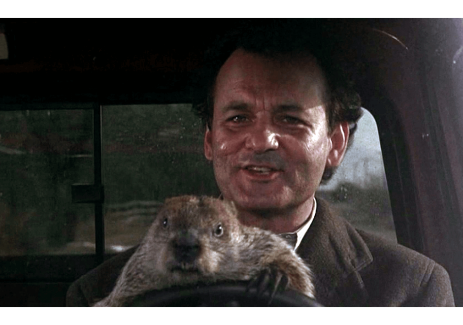 How a Bill Murray Type Character Can Inspire Your Writing
