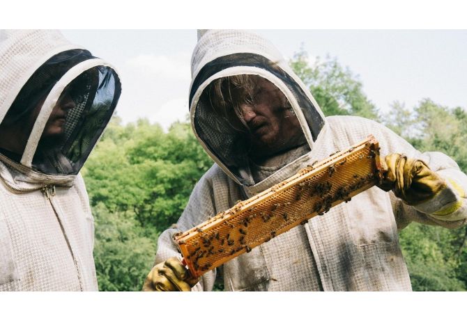 How ‘Bugonia’ Keeps You Guessing Until the Last Minute 