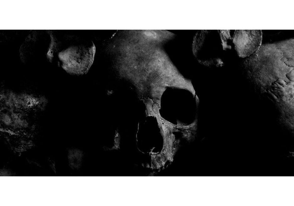 Close up photo of a skull, courtesy of Mitja Juraja on Pexels