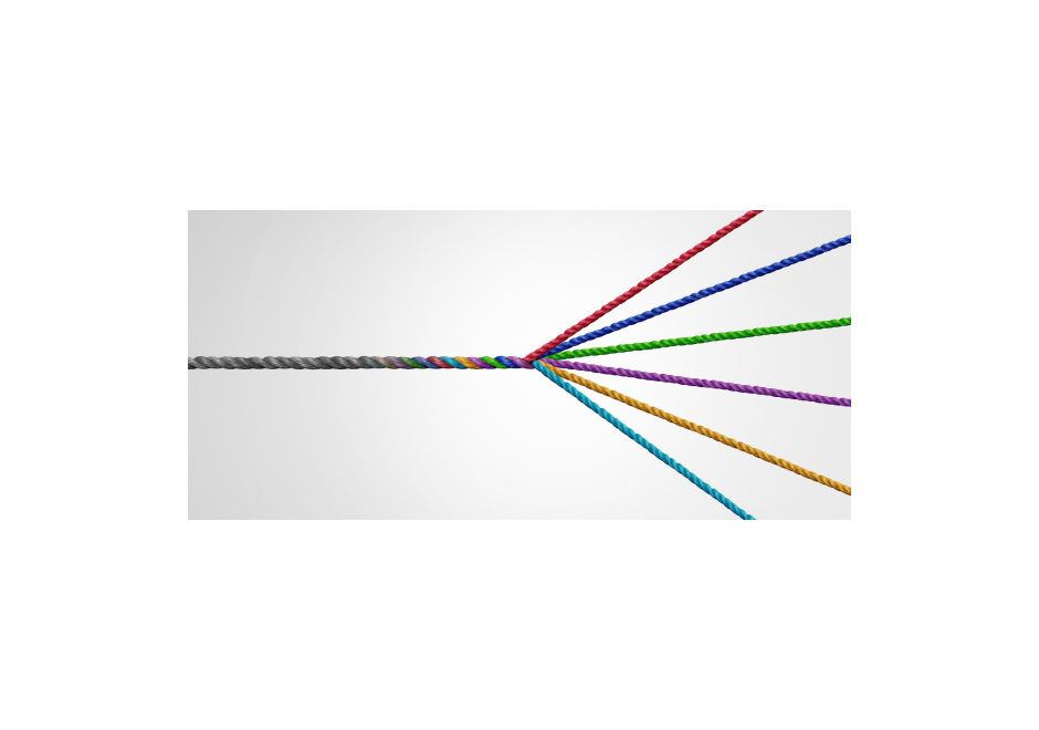 Writing Across Formats:  Why You Should Diversify Your Projects