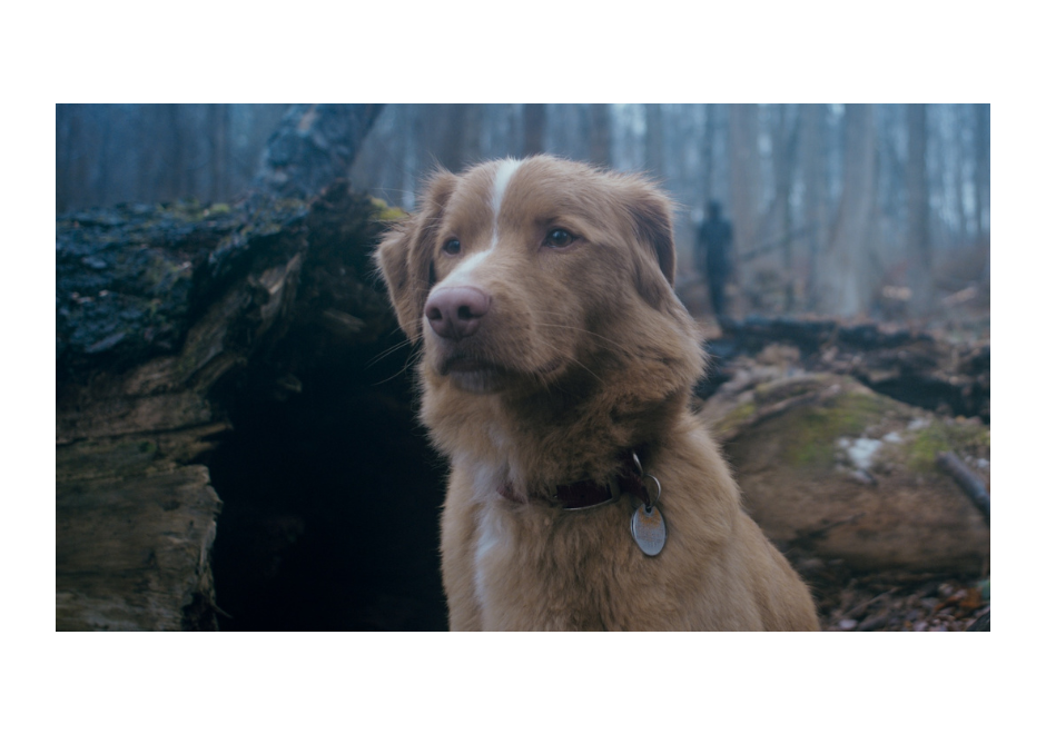 Lessons for Screenwriters from SXSW