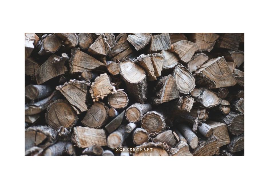 101 Best Movie Loglines Screenwriters Can Learn From