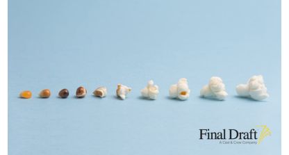 Your Script Is In Development, But What Does That Mean?