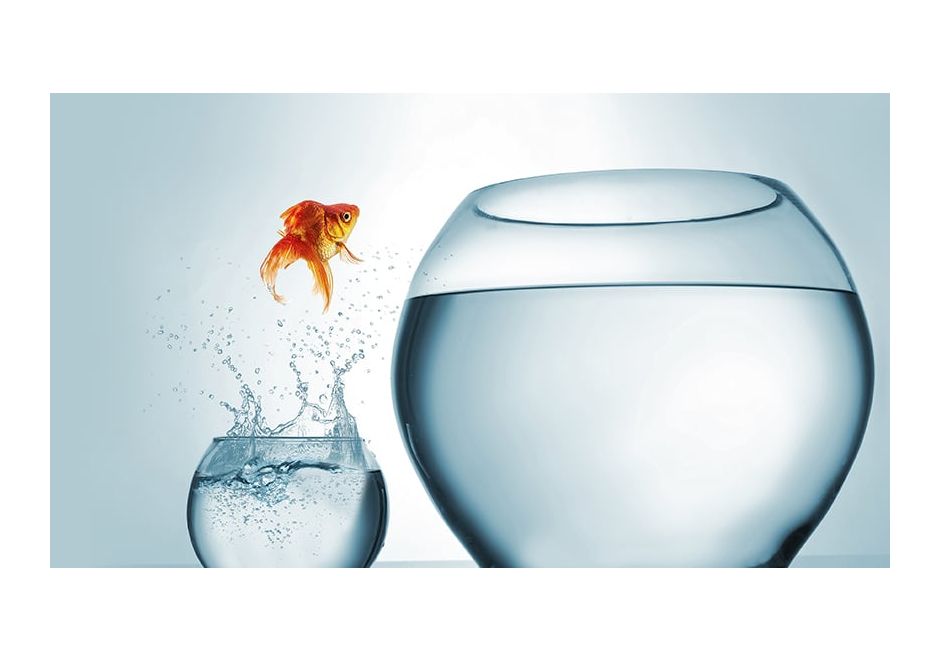 You've got Final Draft... now what?