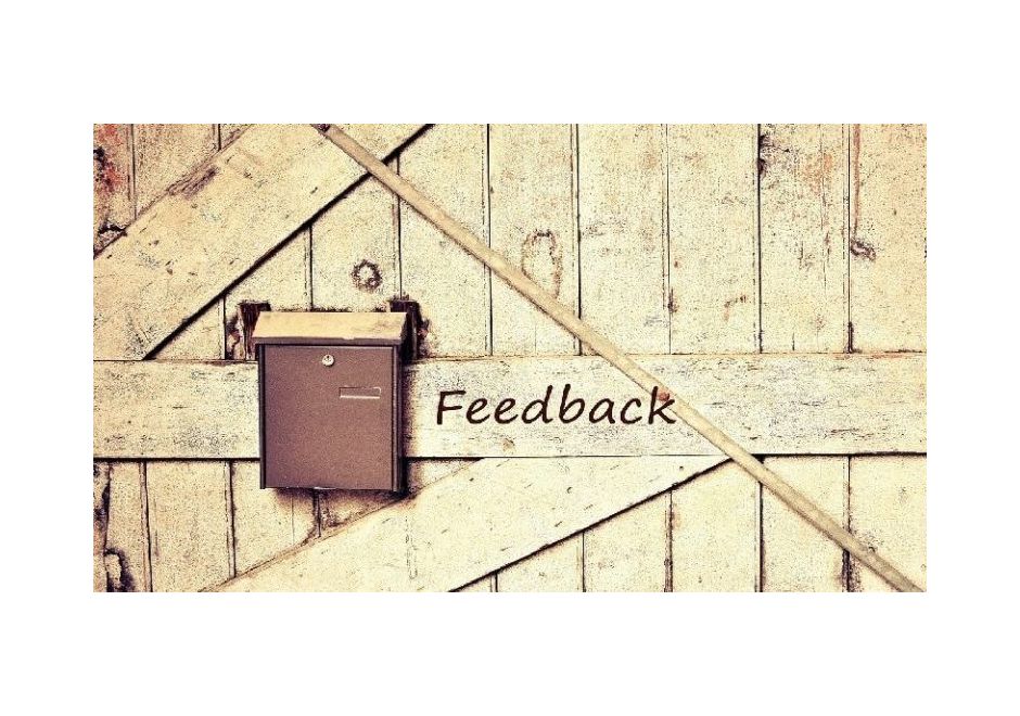 How to Write (and Assess) Amazing Screenplay Coverage and Feedback