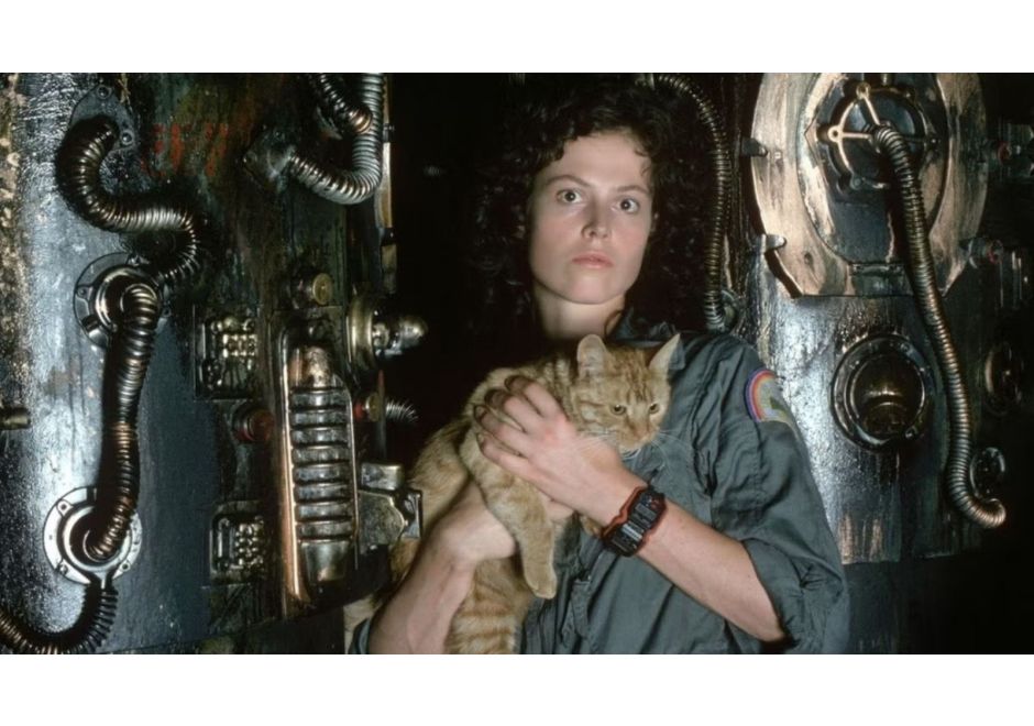 How Character Profiles Can Help You Tell Your Story