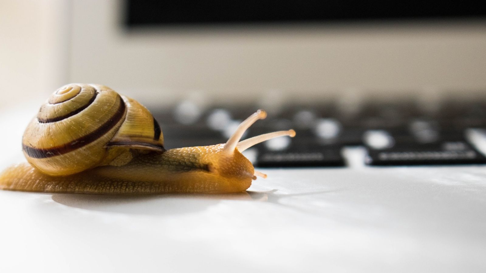 Why Your Screenplay Feels Slow  (and How To Fix It)