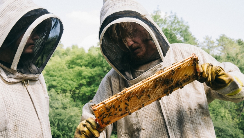 Aidan Delbis and Jesse Plemons in 'Bugonia'