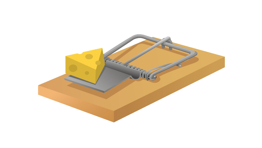 Mousetrap with cheese